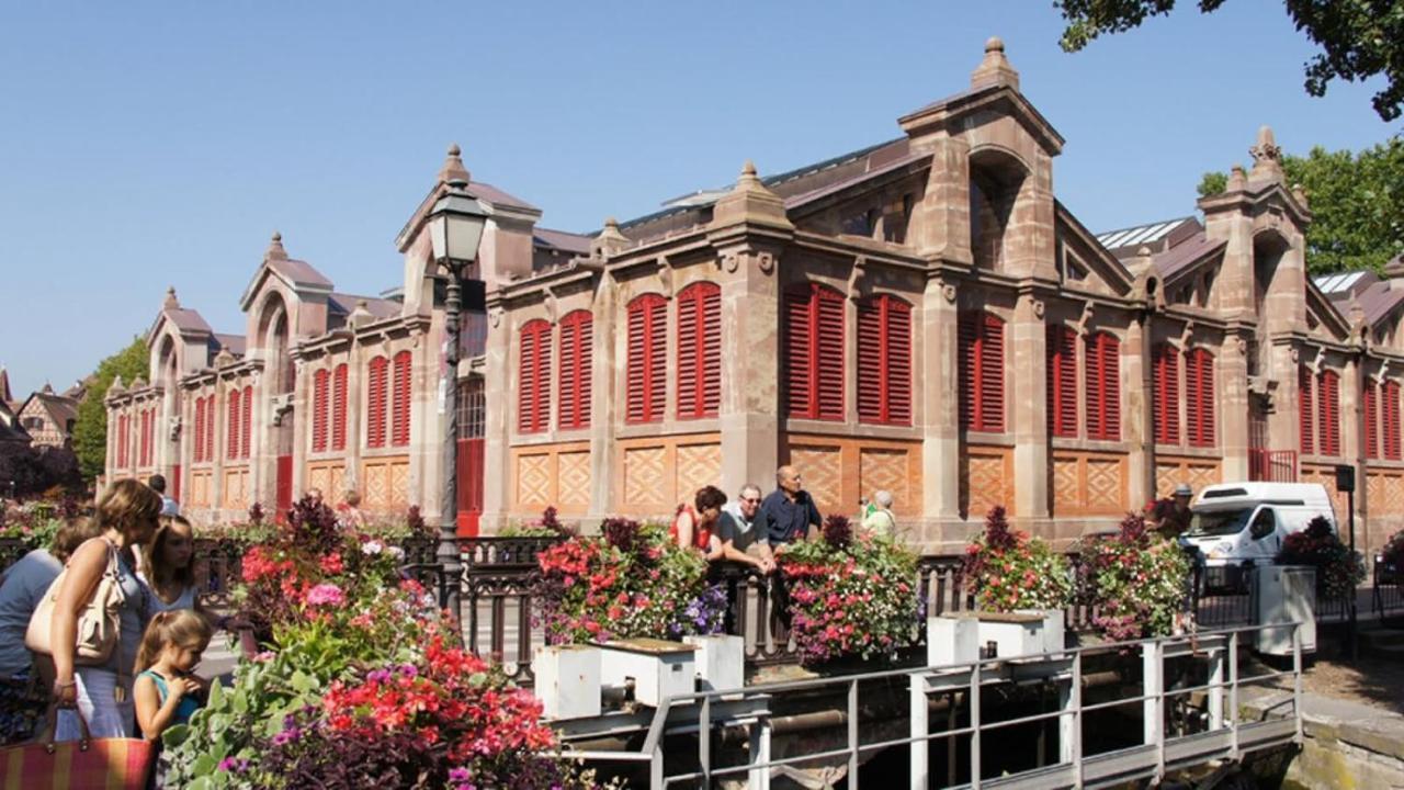 Colmar Historic Center - Cosy Appartement Turenne 1 - Bookingalsace المظهر الخارجي الصورة